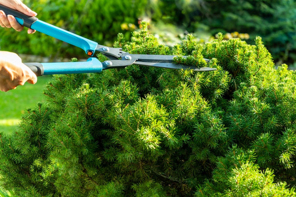 AdobeStock_381810276-960x639 (2)